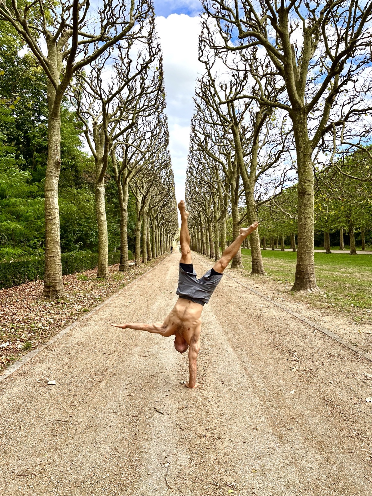 One-arm handstand in a tree-lined avenue