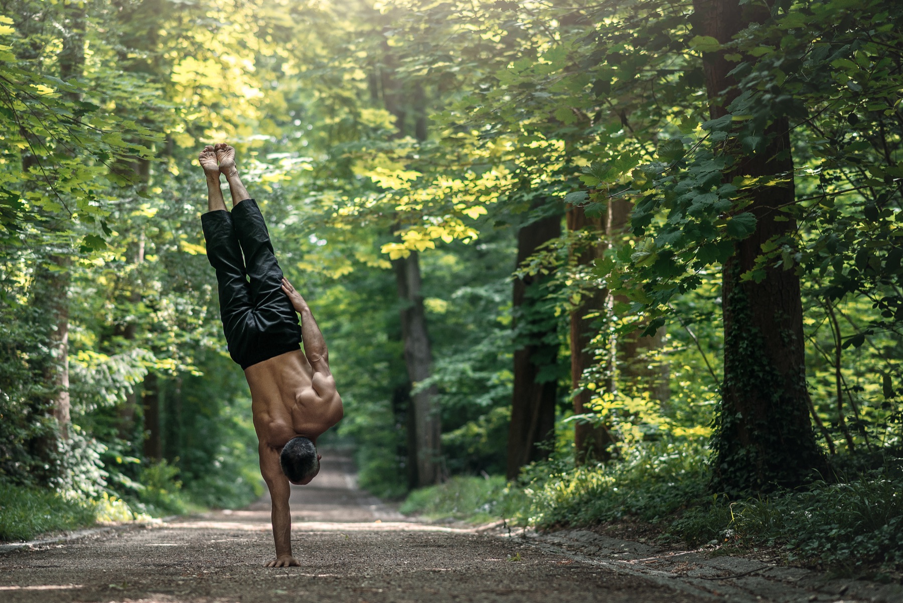 One-arm handstand on a sunlit forest path